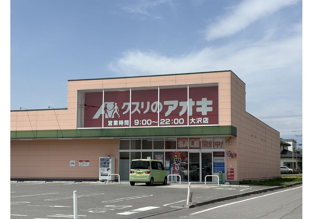 クスリノアオキ大沢店